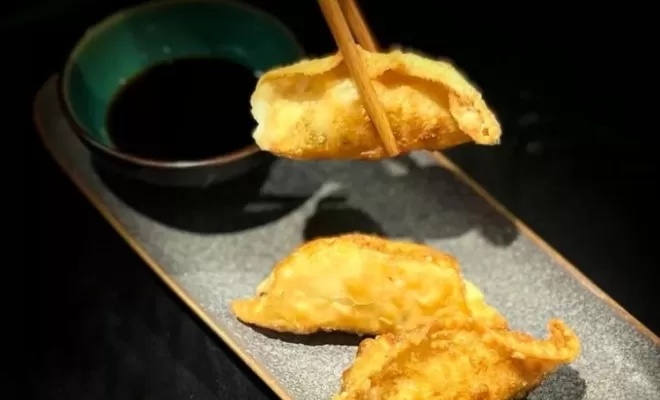 Découvrez nos gyoza (halal) sur strasbourg, Schiltigheim, Sensaei